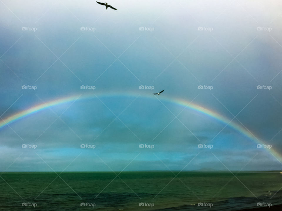Complete rainbow over the ocean