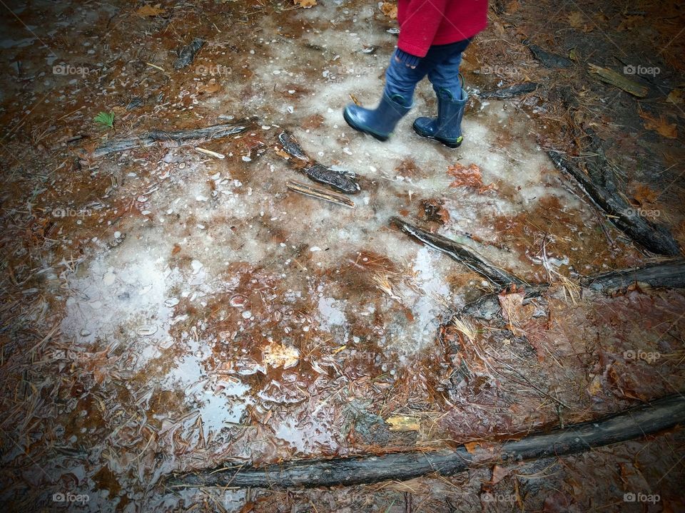Ice walk in the woods