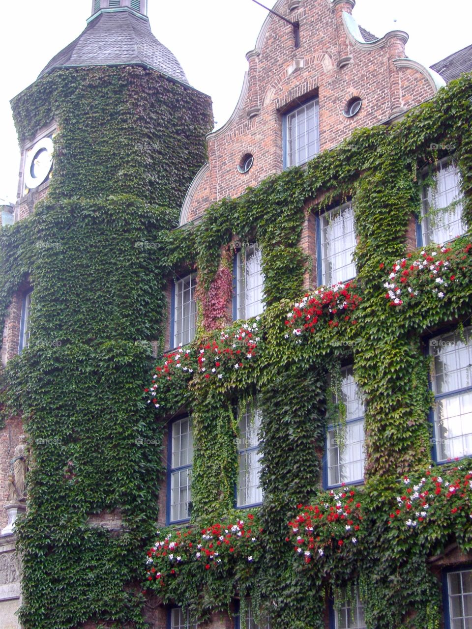 Facade of a building covered with ivy