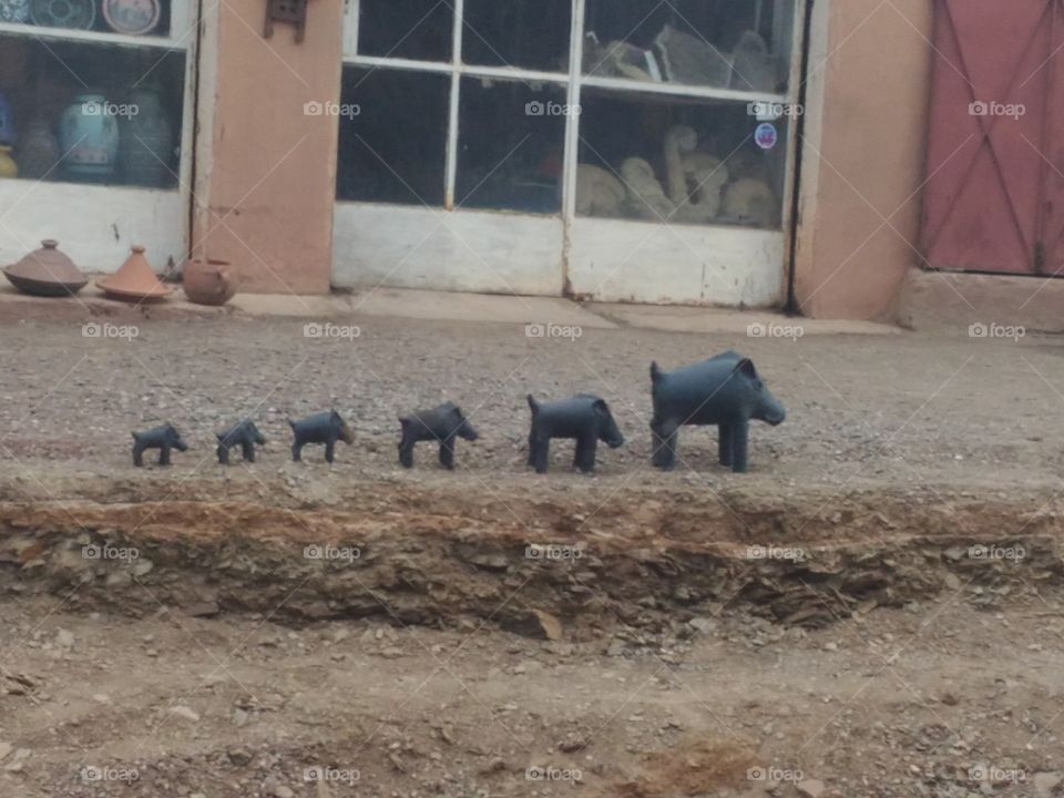 6 tiny pigs