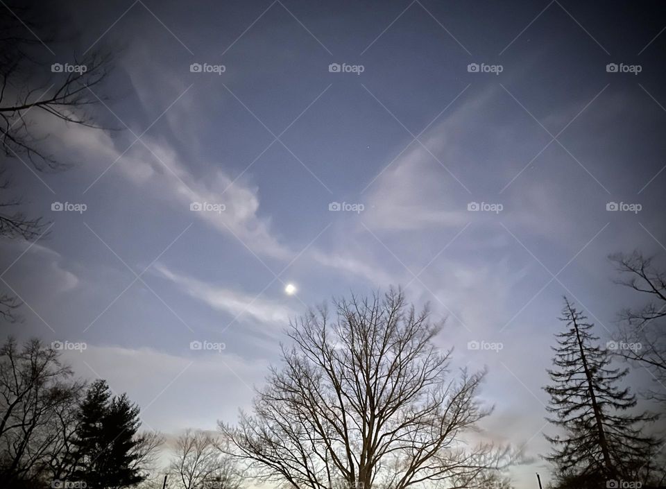 Moonlight just feels right. Love the crescent moon just over the trees. 