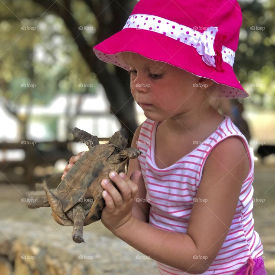 a girl holding a big turtle, a child playing with a live turtle