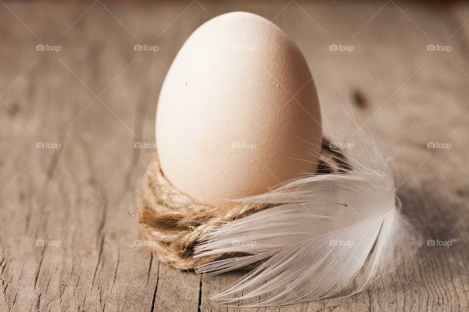 Easter egg on old wiosen background in a decorative nest with feather
