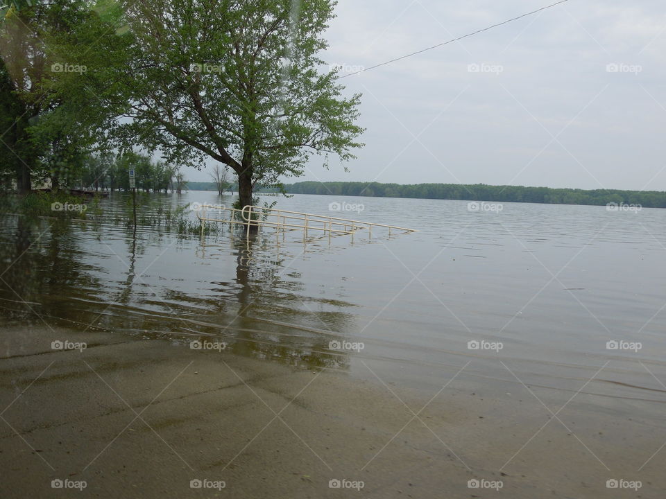 Water, Landscape, Tree, Nature, No Person
