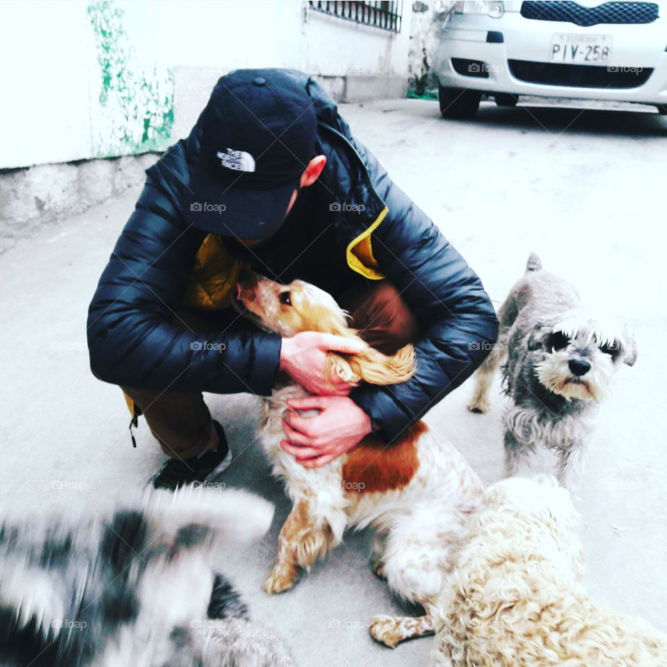 This cliché is part of my rare clichés selection. I made this shot in Quito, Ecuador. It was one of the best trip of my life ans these dogs are part of my trip! They were so cute and welcoming. Hope you will love my album.
