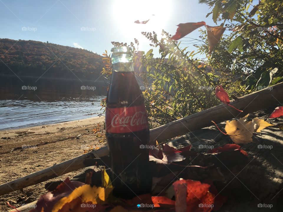 Coca Cola and falling Autumn leaves at the beach