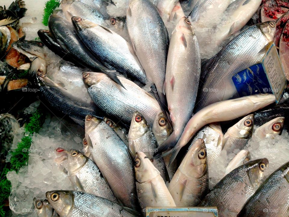 fresh raw fishes. fresh raw fishes sold at a supermarket