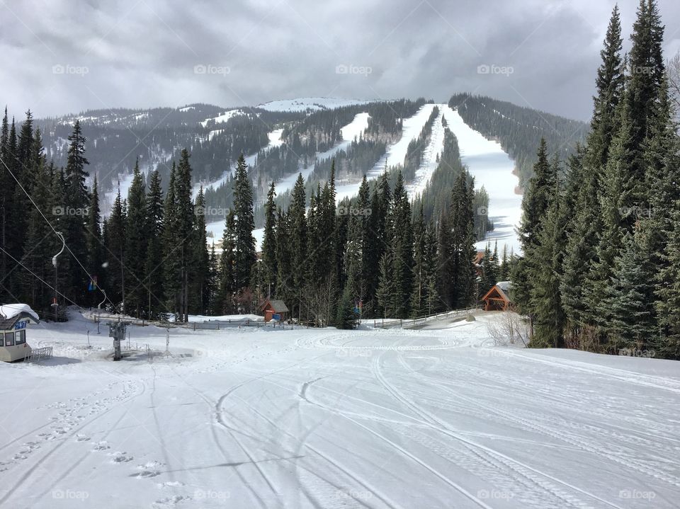 Beautiful winter day 