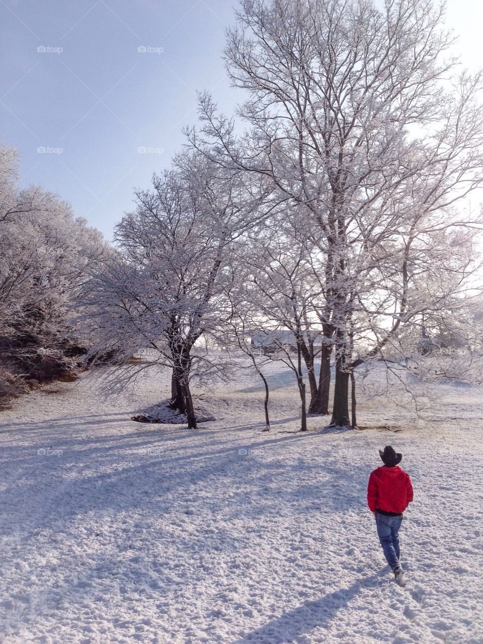 Winter snow