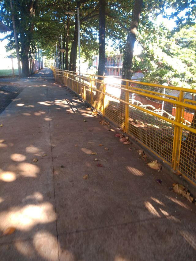 bem vindo foap natureza