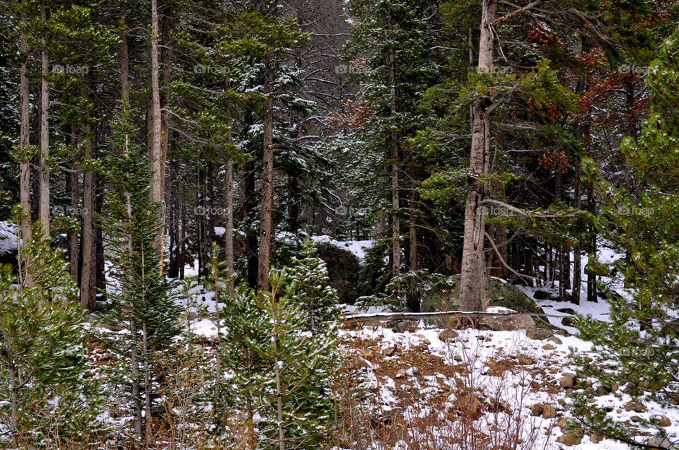 RMNP