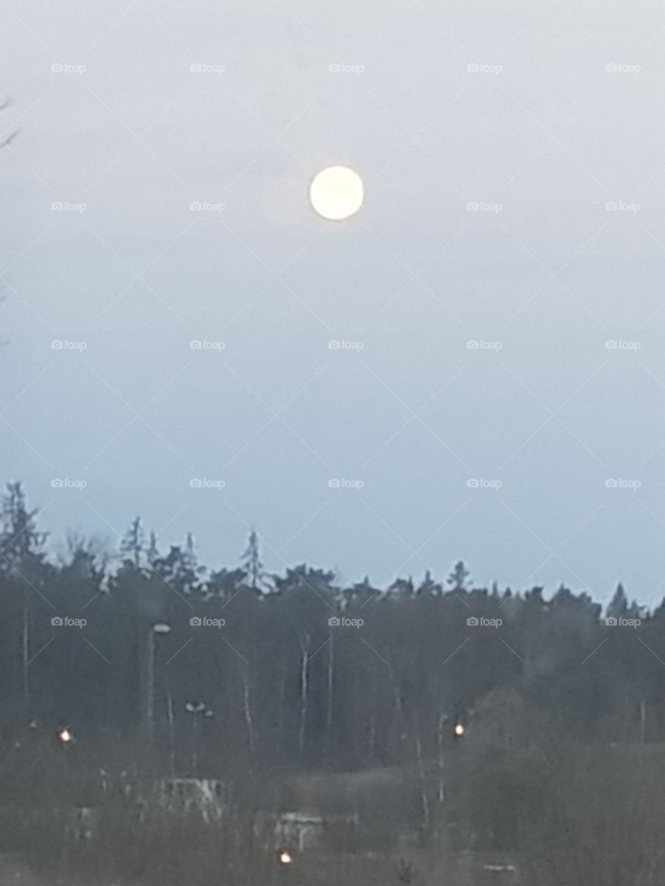 midday moon, summertime