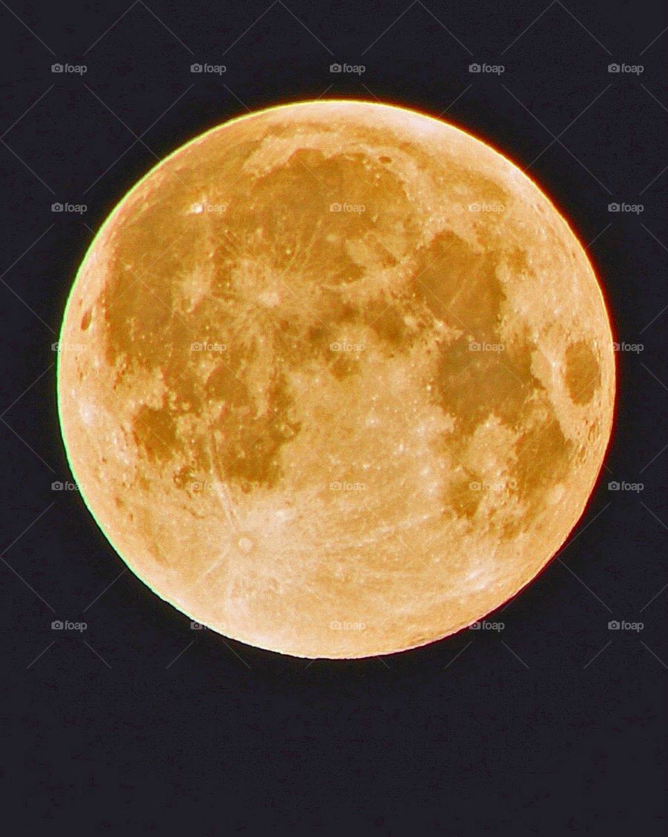 Close-up of full moon