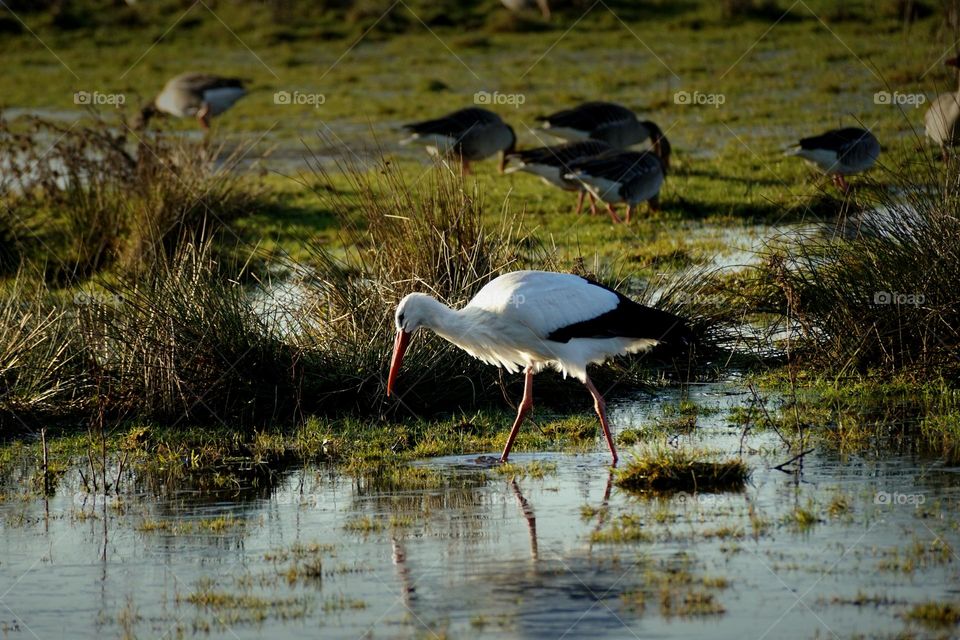 nature reserve