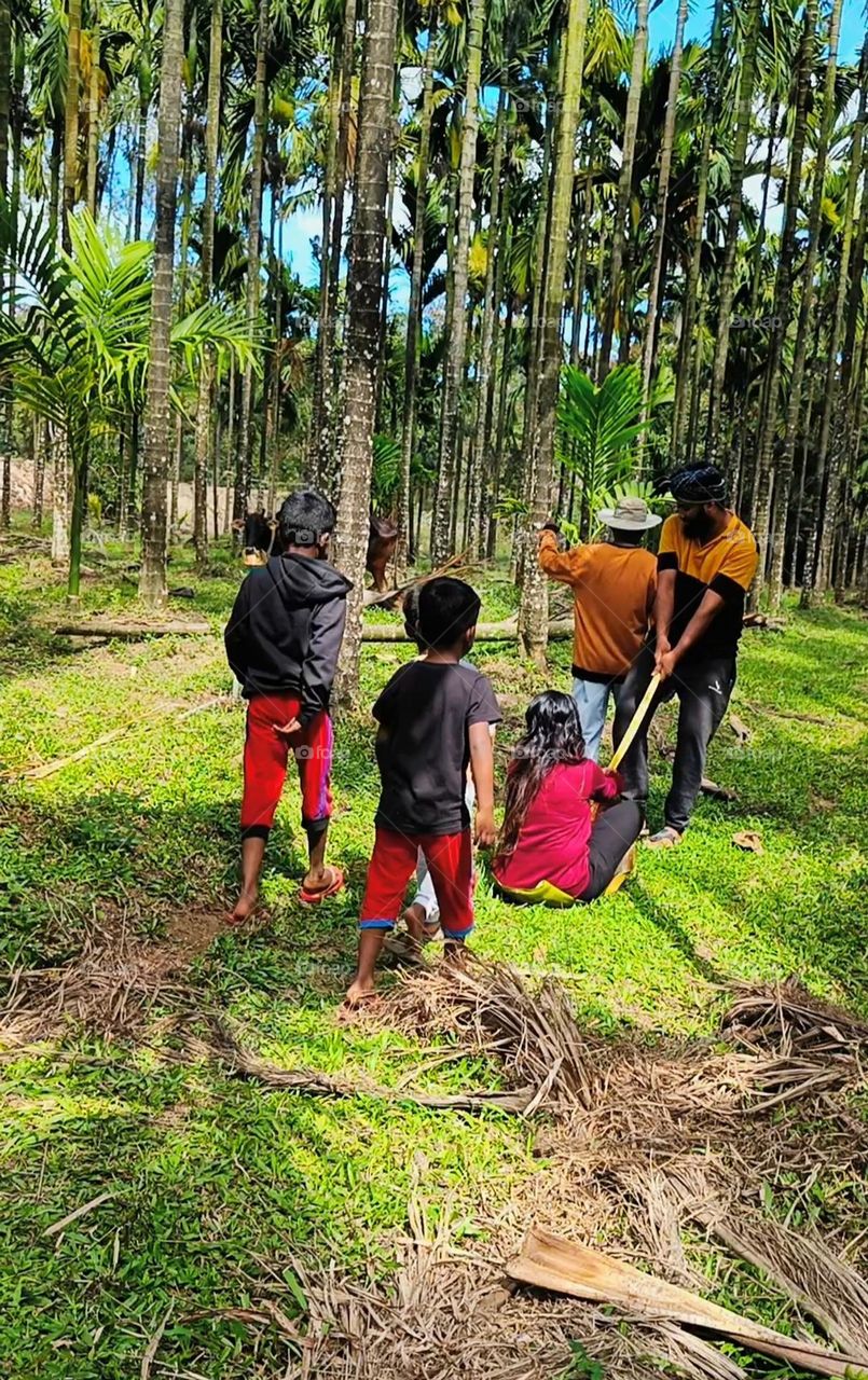 My Village Life playtime