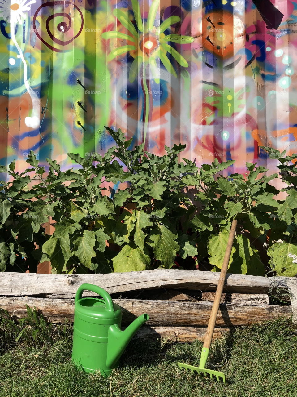 Urban gardening with tools and art