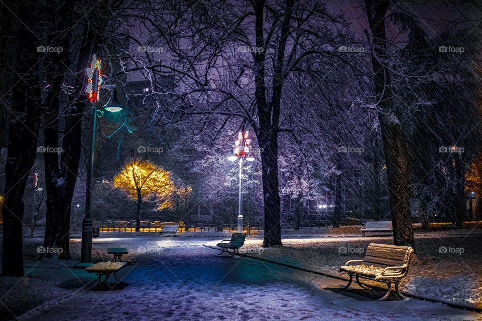 Park under the snow on the eve of the holidays