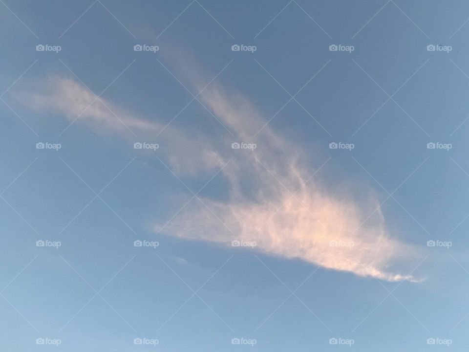 I love pictures of clouds in formation, I think this looks like a white bird flying in a very blue sky, outdoors on a sunny day