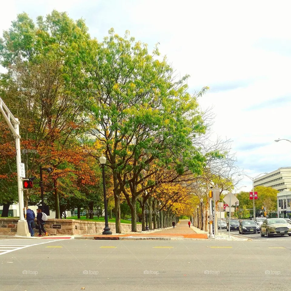 Fall