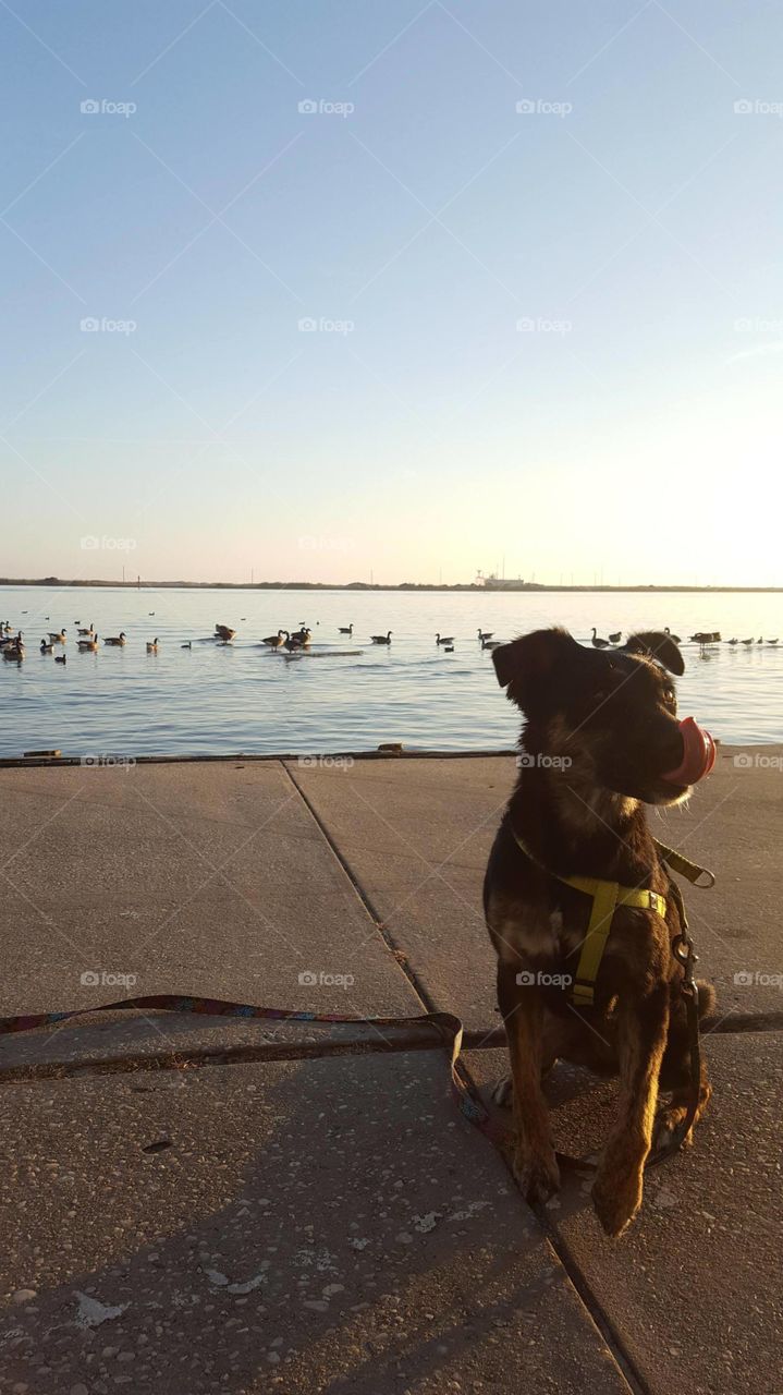 Beach, Water, Sea, No Person, Seashore