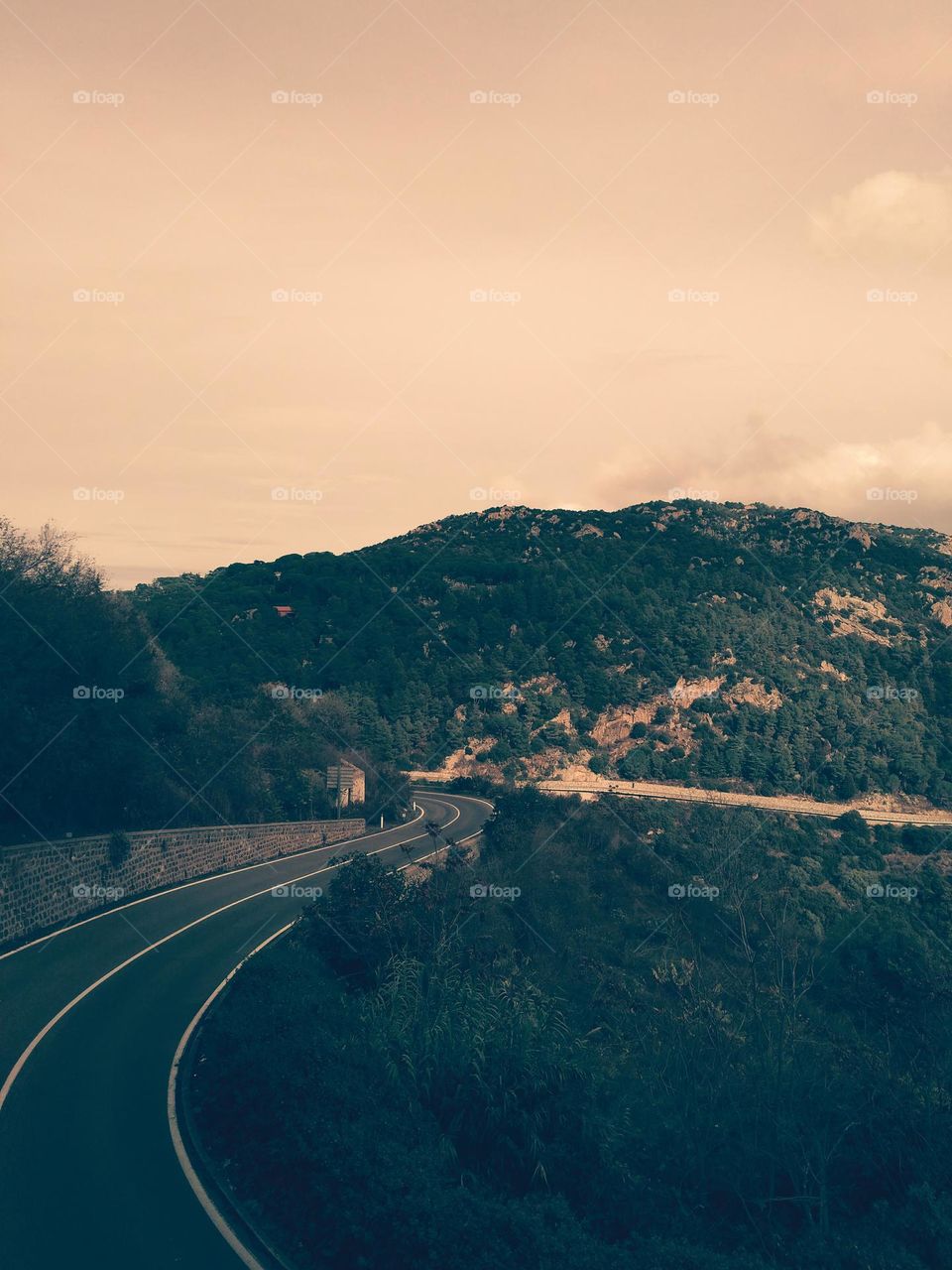 Editors' Choice - Photo of the Week