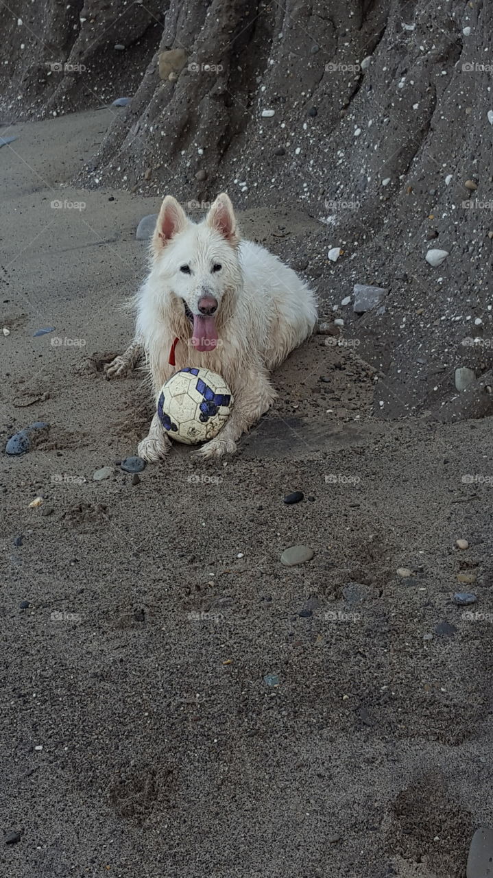 sky playing on the sands