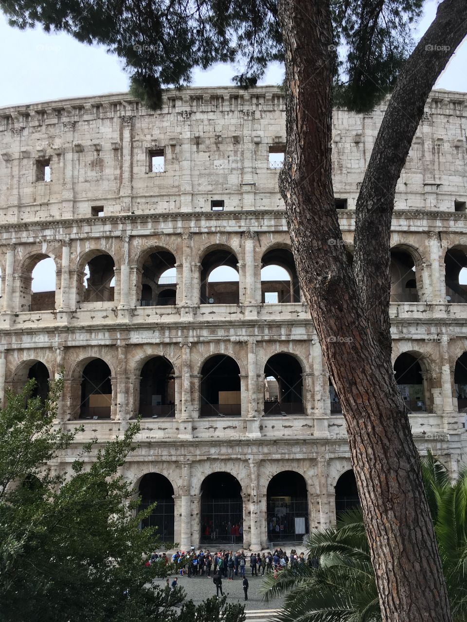 Colosseum view 