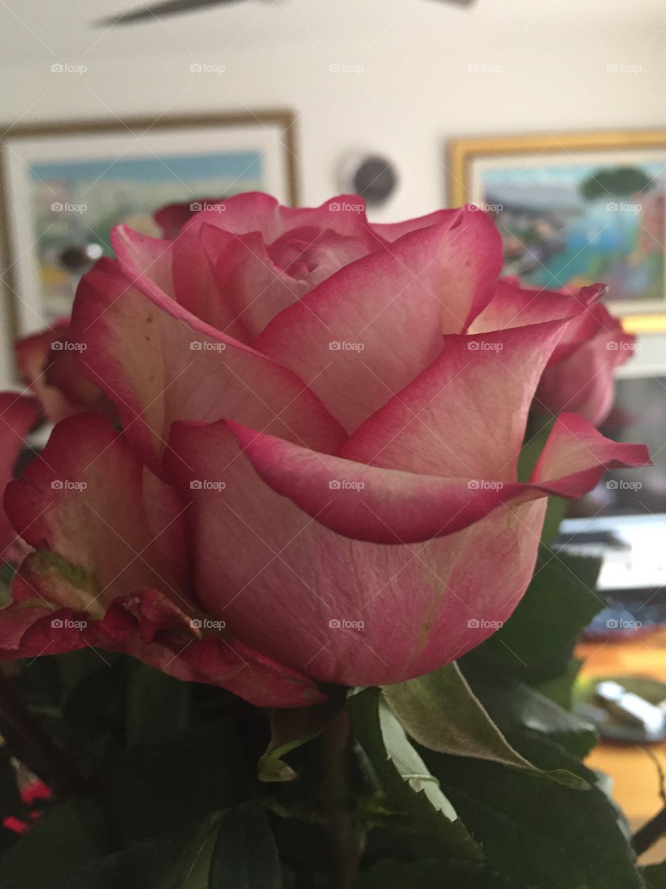 Up close and personal