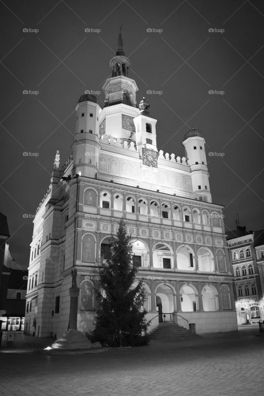 Poznan town hall in black and white