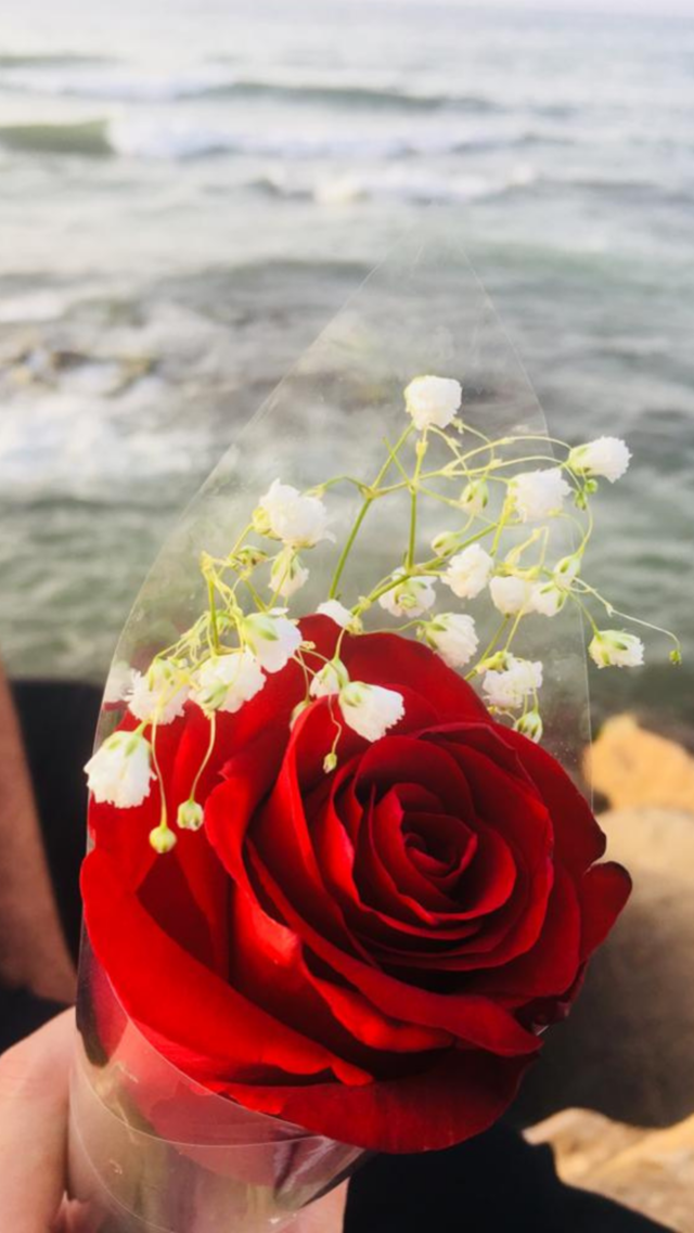 Red flower 🌺