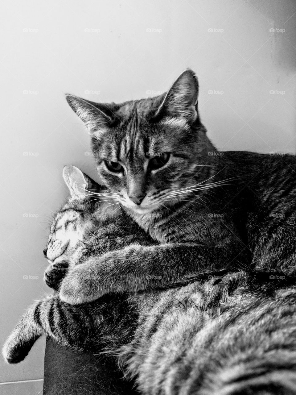 Two of the same kind