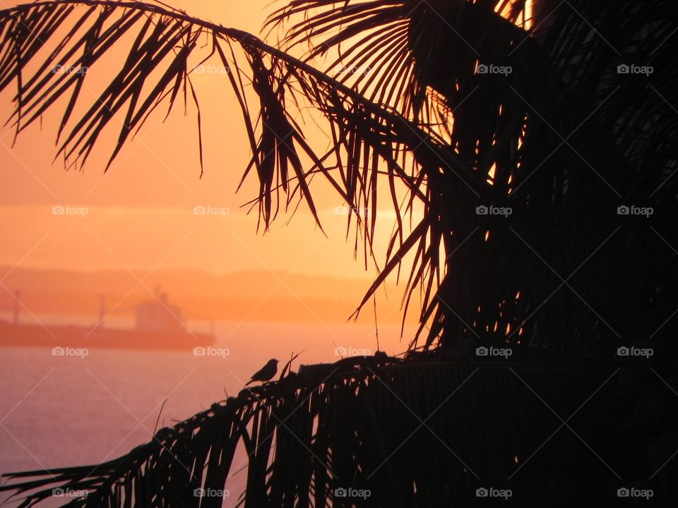 Sunset - Salvador - Bahia - Brazil