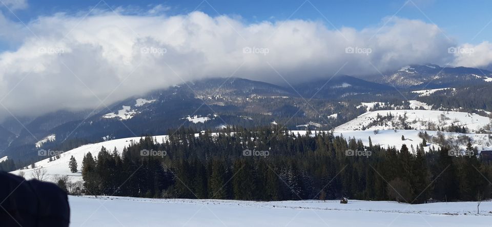 Carpathian mountains