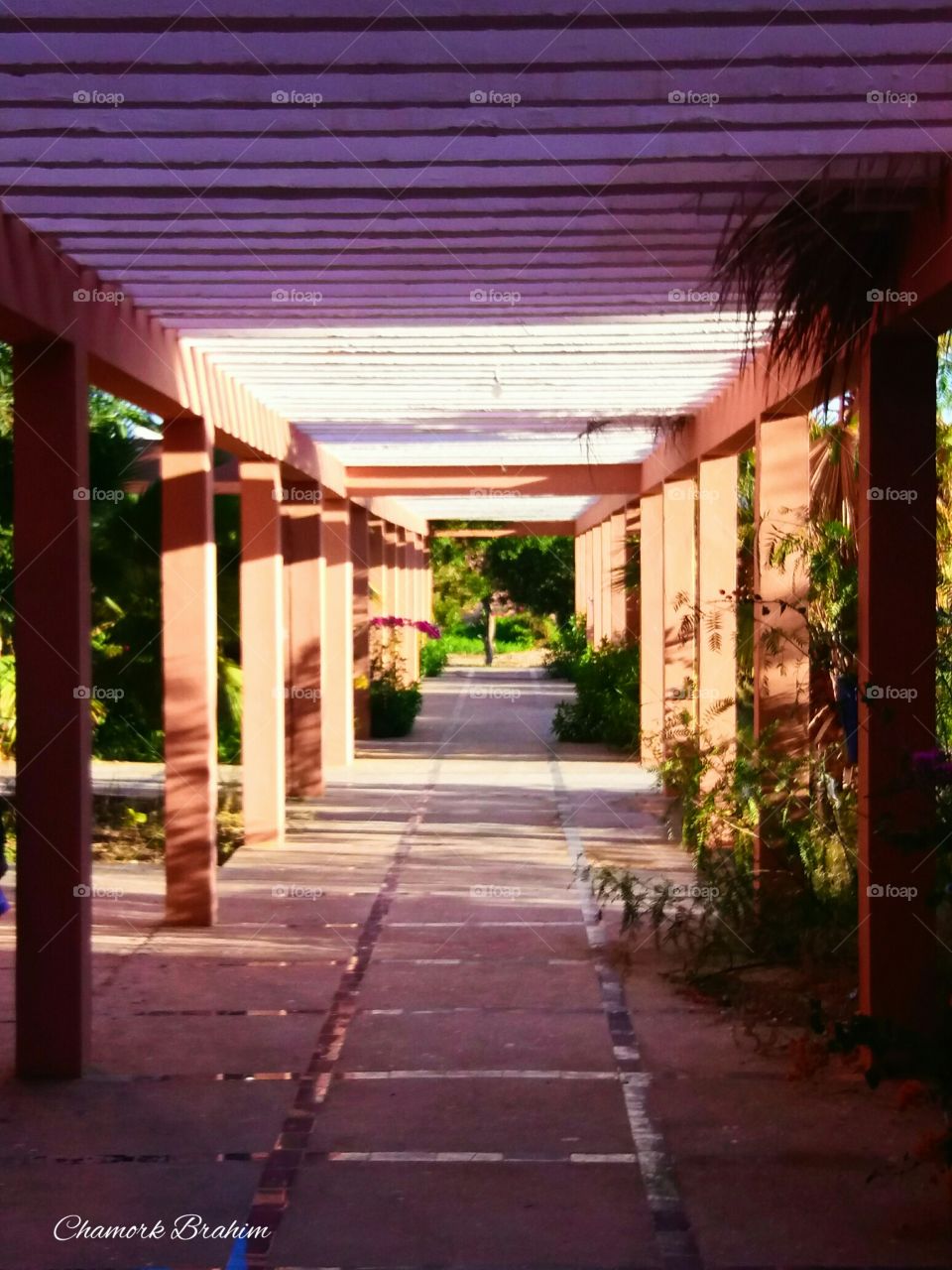 An amazing hall in our school.Its design attracted my attention