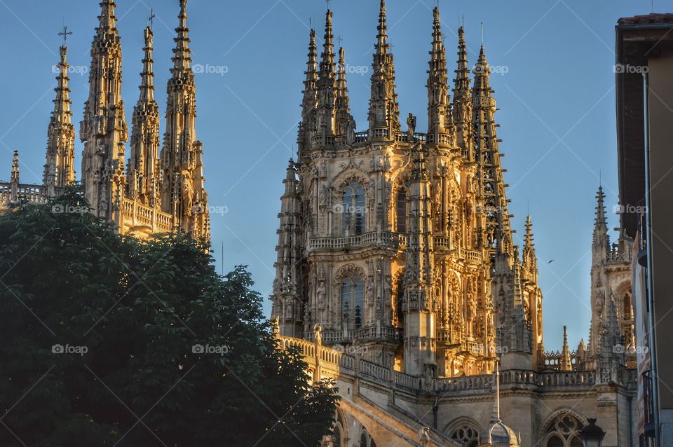 Catedral de Burgos (Burgos - Spain)