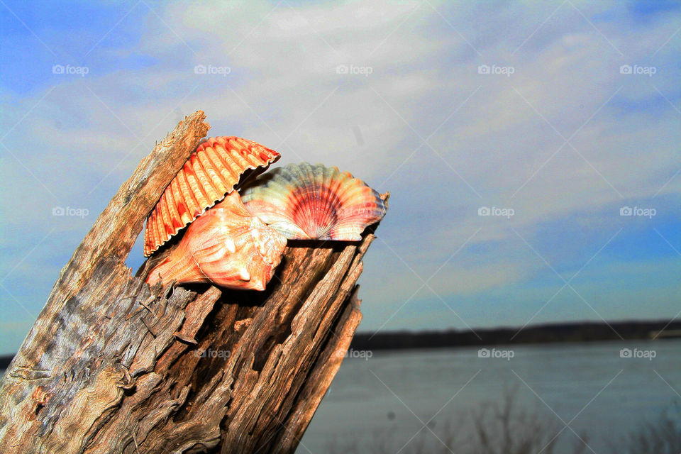 Treasures Come In Threes ( Series )