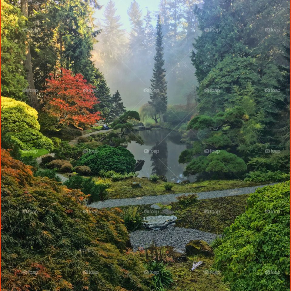 Misty Fall Pond Reflection 