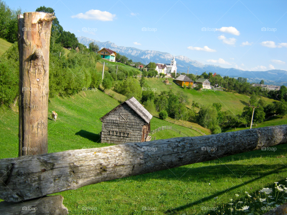 green house old romania by tediiliescu