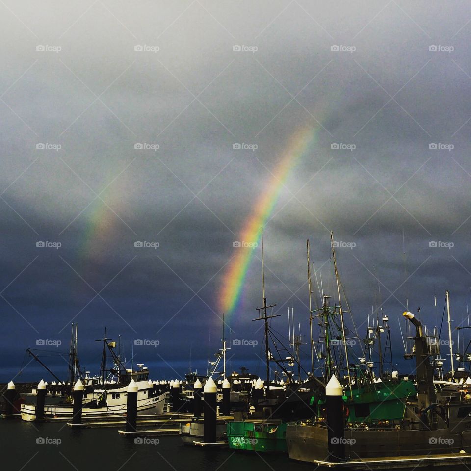 Rainbows on the Harbor