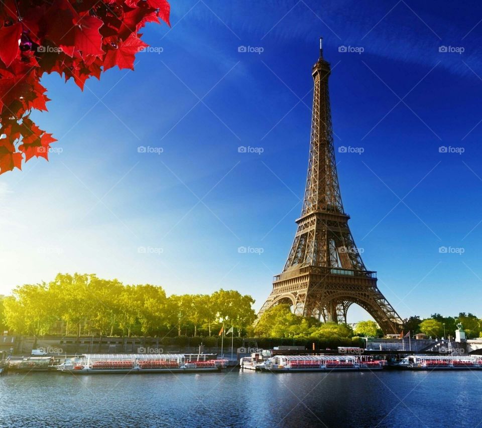 Eiffel view
