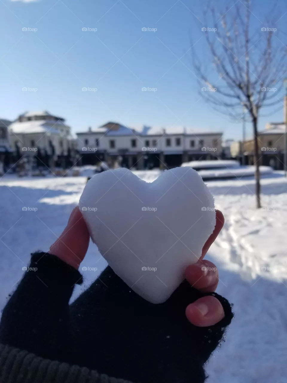 Albanian snow