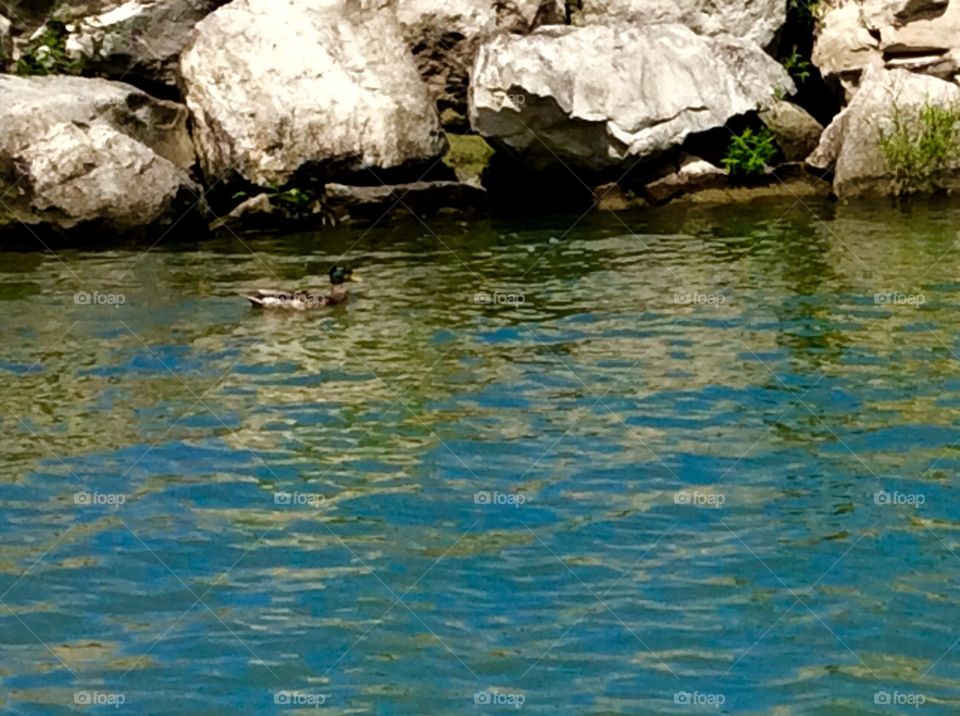 Water edge reflection