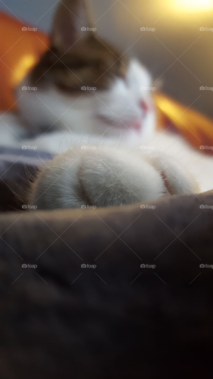 Don't worry be happy