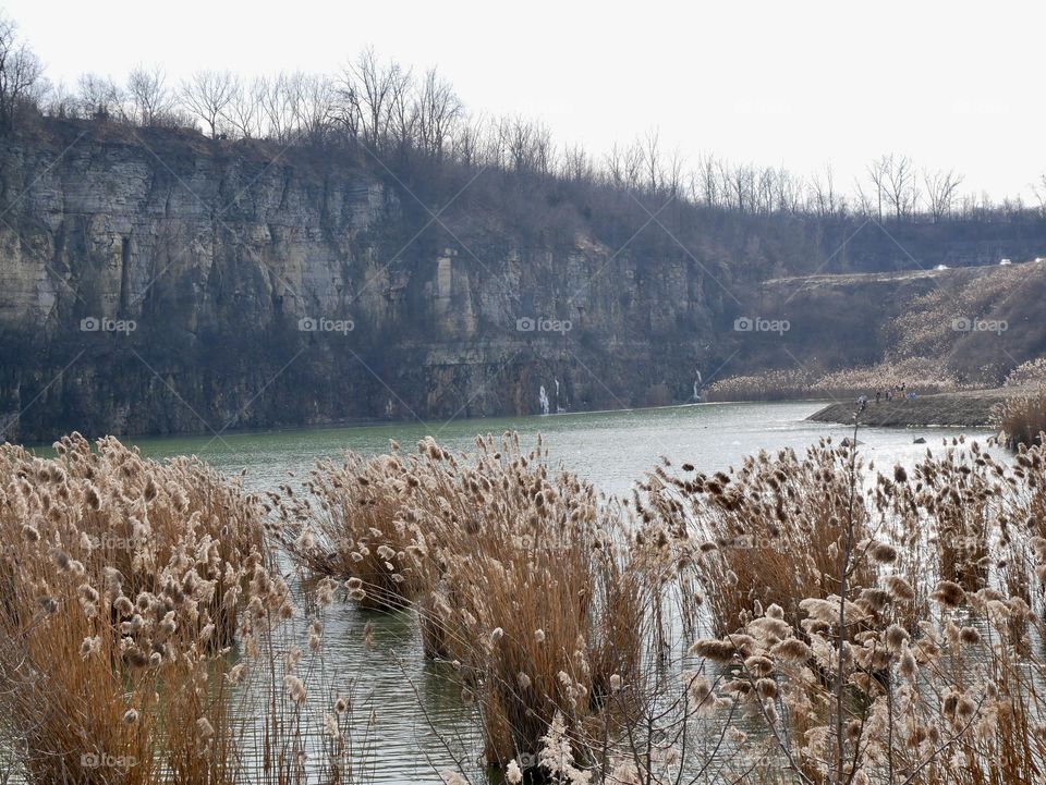 Down in the reeds, at the local metro park. Beautiful landscape!