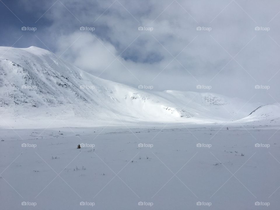 Winter in the mountain 