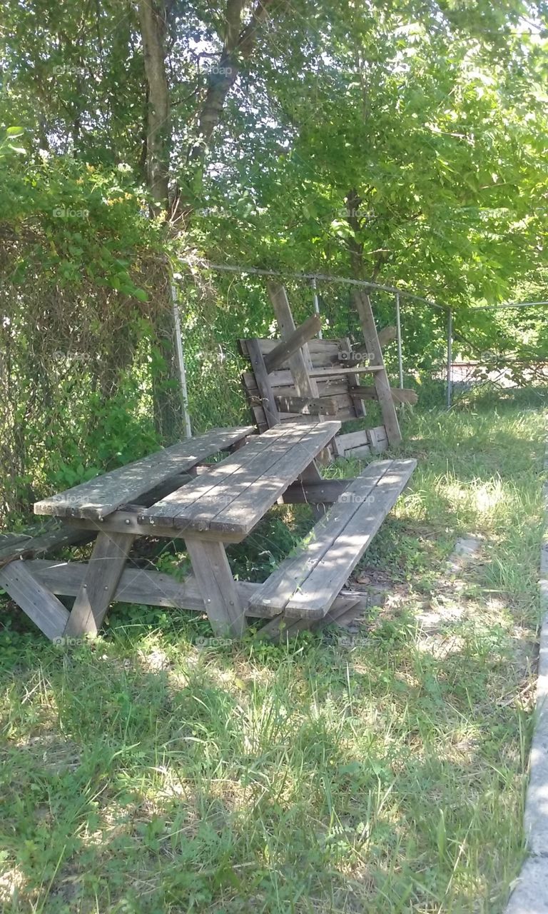 old bench