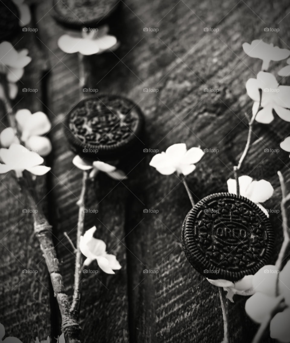 Black and white favorite cookies with traditional springtime flowers - the Oreo classic conceptual spring flower cherry blossom with Oreo Cookies product lifestyle art Photography poster background