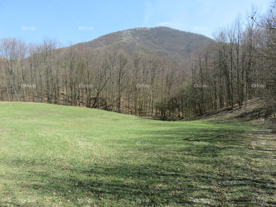 Mountains pasture in spring