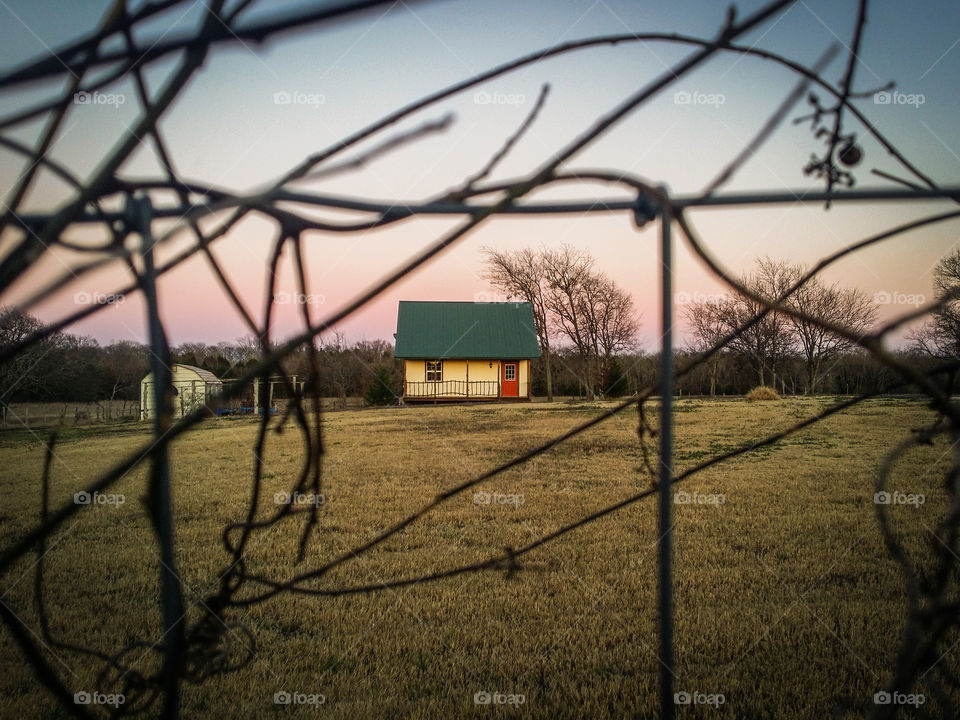 Cottage Framed by Vines