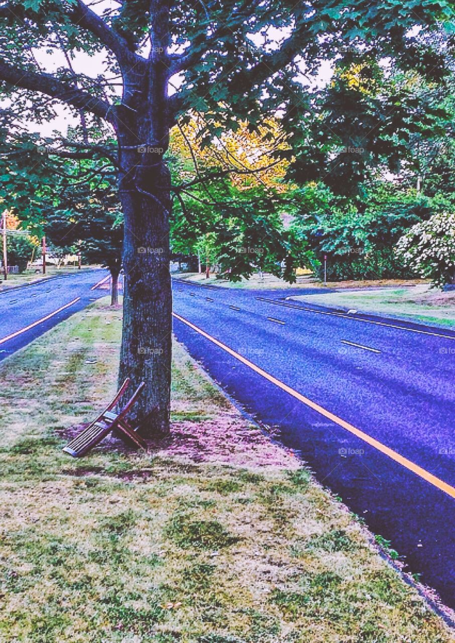 Walking the dogs. Broken chair left in the middle of the road....